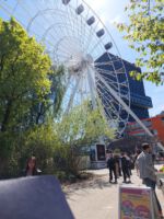 Day of Hope am 4. Mai und Europapark am 7. Mai.