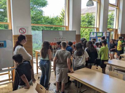 Demokratie Wettbewerb in der Mittelschule St. Georg Vilshofen